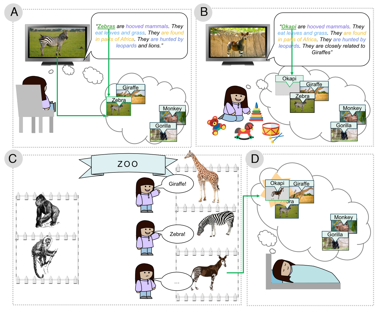 Featured image of post Signatures of cross-modal alignment in children’s early concepts