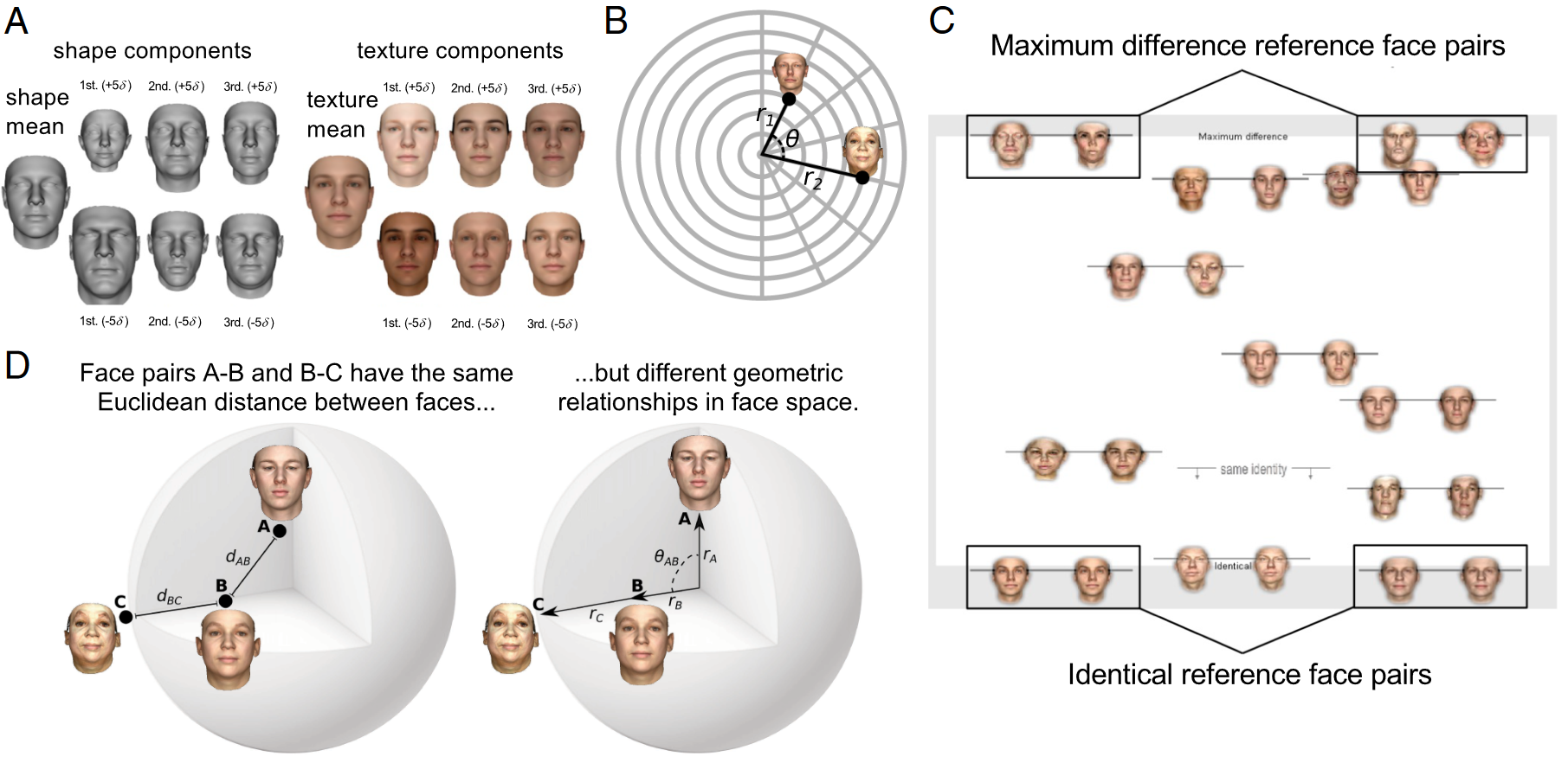 Featured image of post Face dissimilarity judgments are predicted by representational distance in morphable and image-computable models