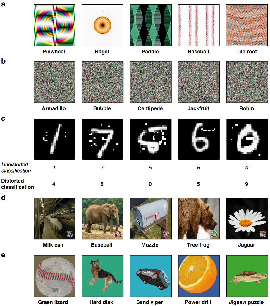Featured image of post Humans can decipher adversarial images