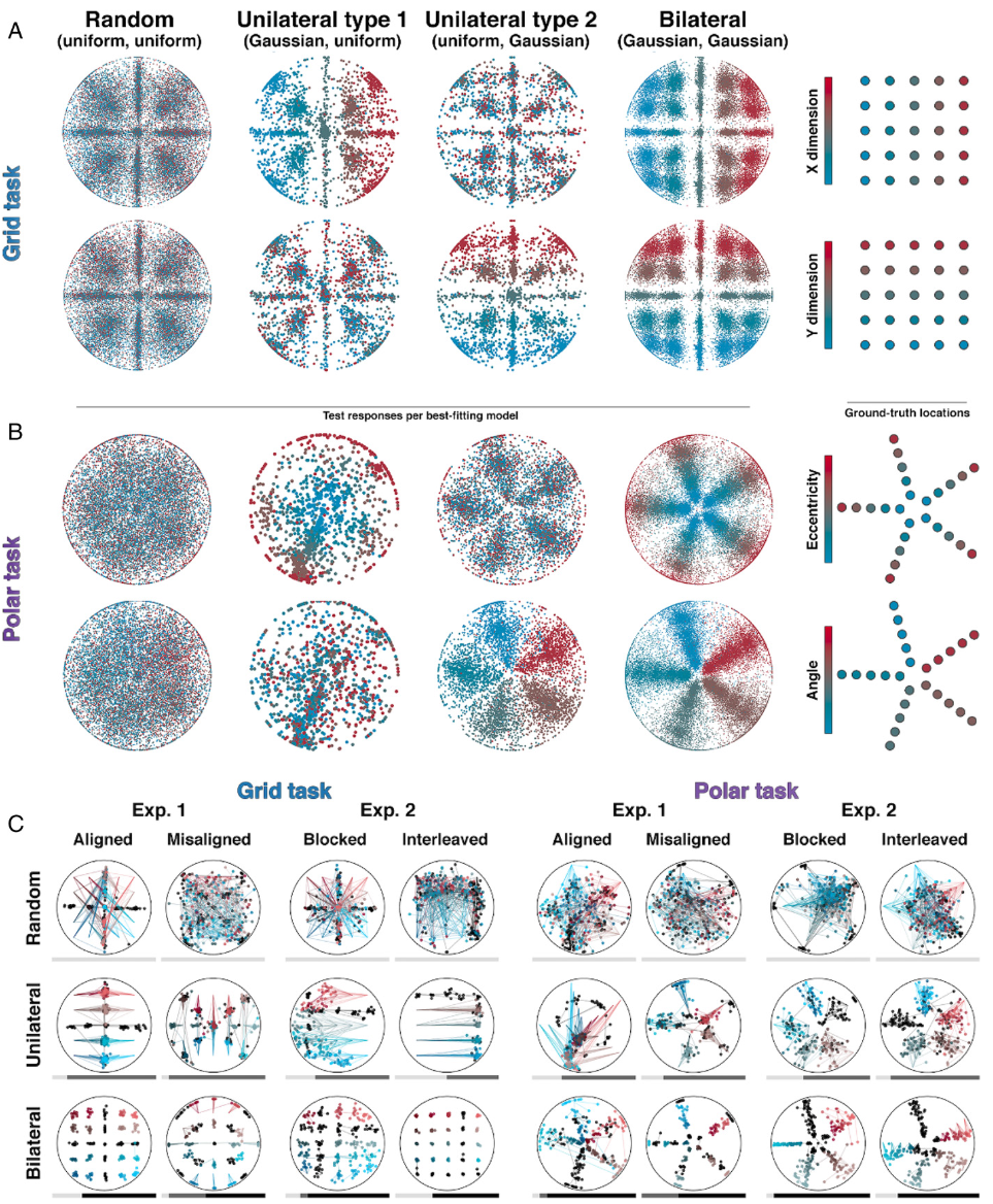 Featured image of post Curriculum learning for human compositional generalization