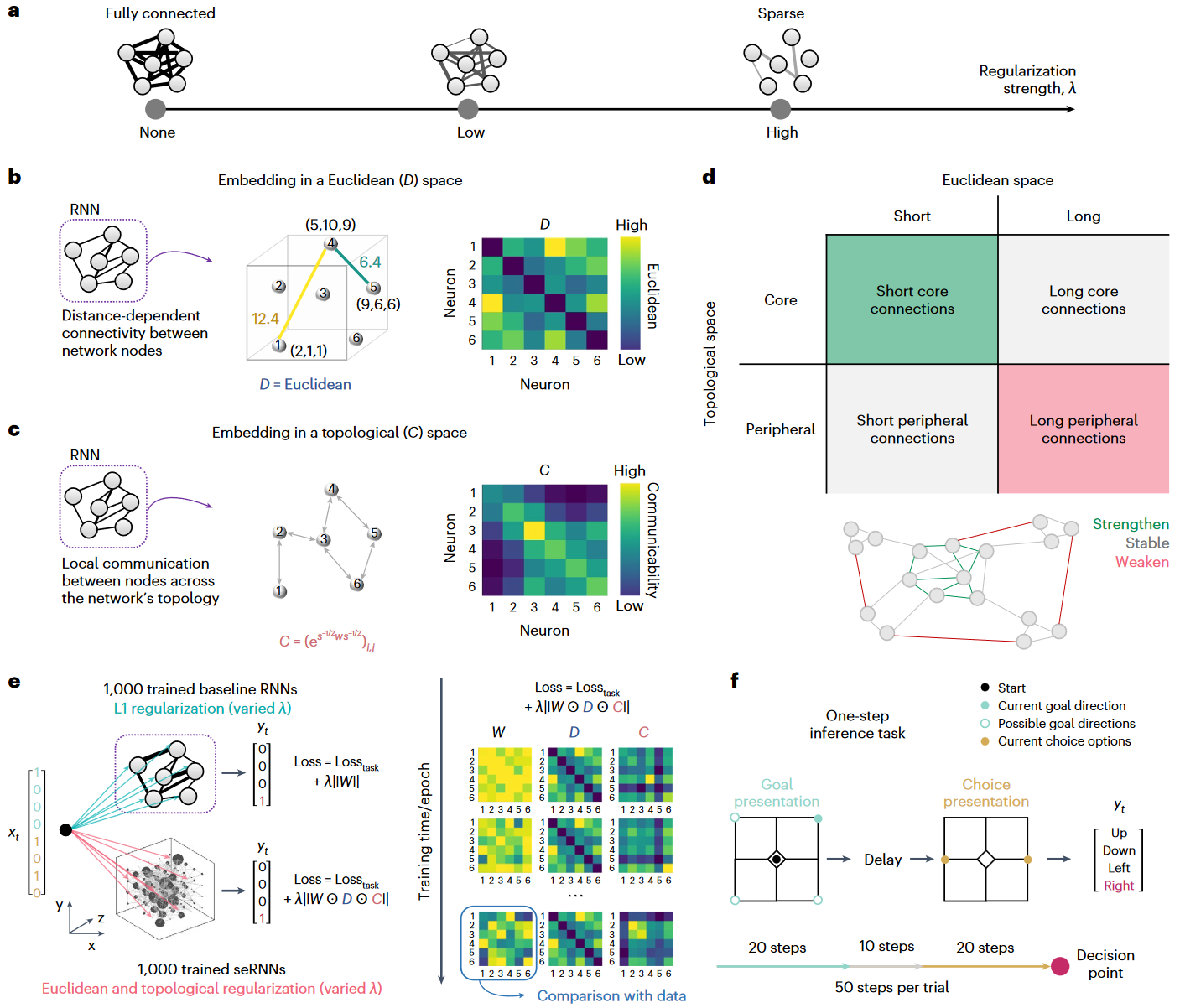 Featured image of post Spatially embedded recurrent neural networks reveal widespread links between structural and functional neuroscience findings