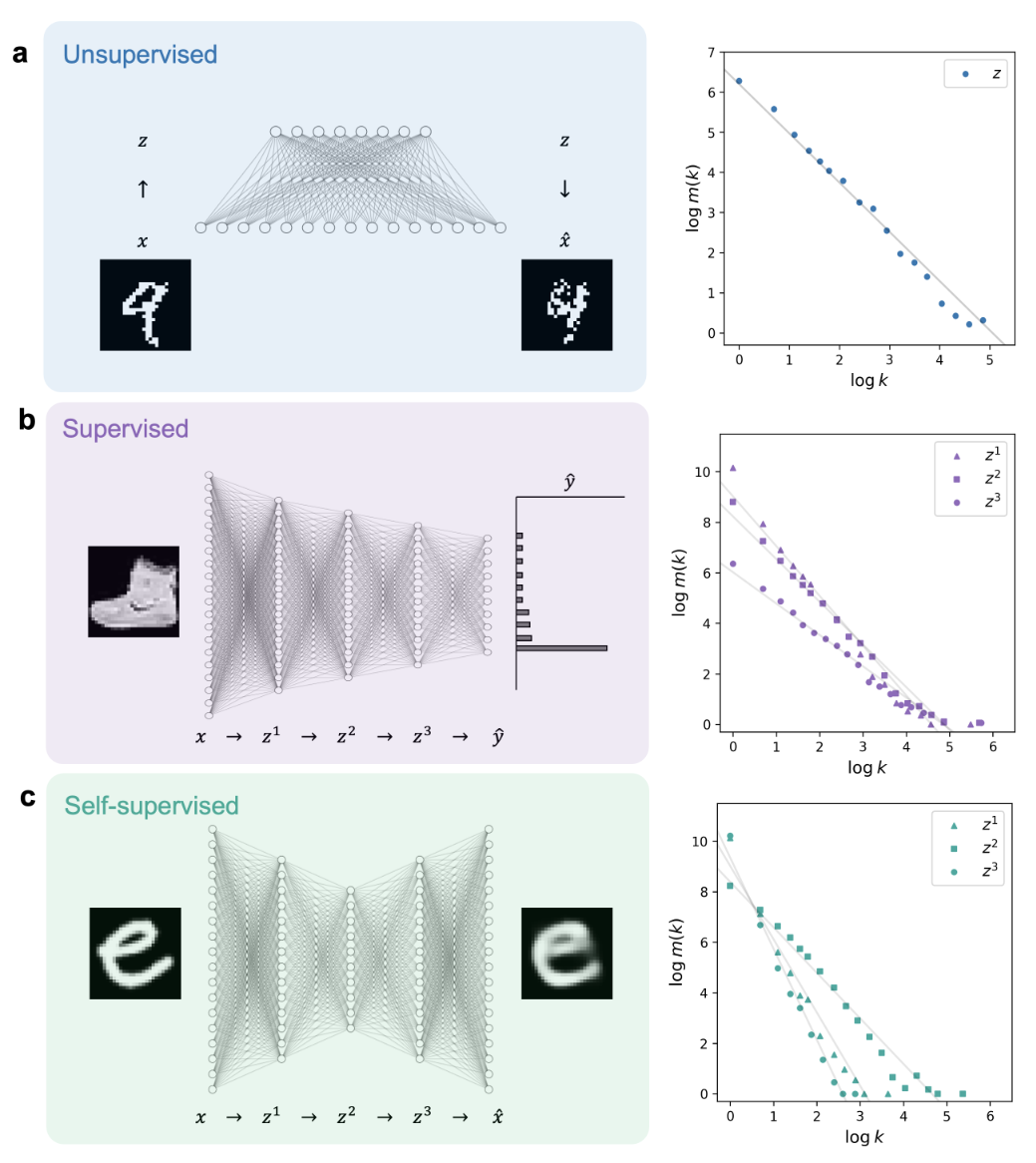 Featured image of post Scale-invariant representation of machine learning