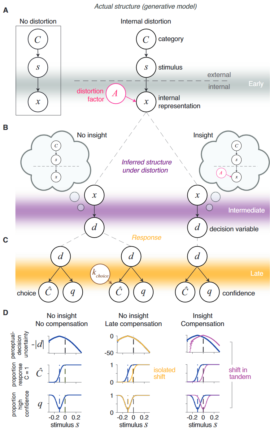 Featured image of post Introspective inference counteracts perceptual distortion